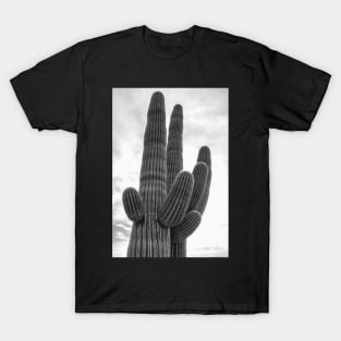 saguaro bw 2 T-Shirt